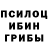 Галлюциногенные грибы Psilocybe Alim Gro