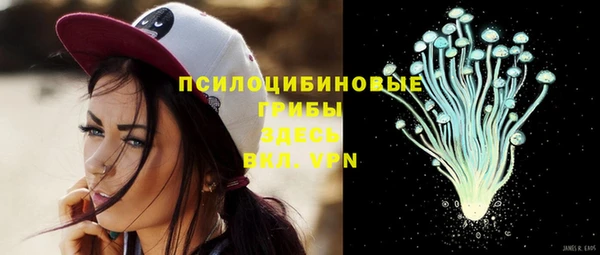 бошки Переславль-Залесский