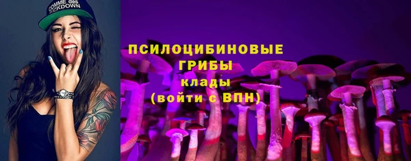 PSILOCYBIN Белоозёрский