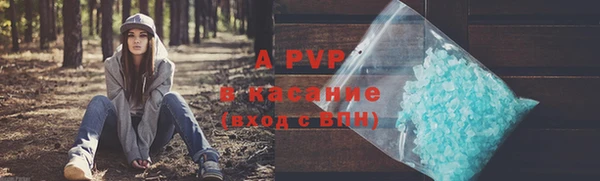 PSILOCYBIN Белоозёрский