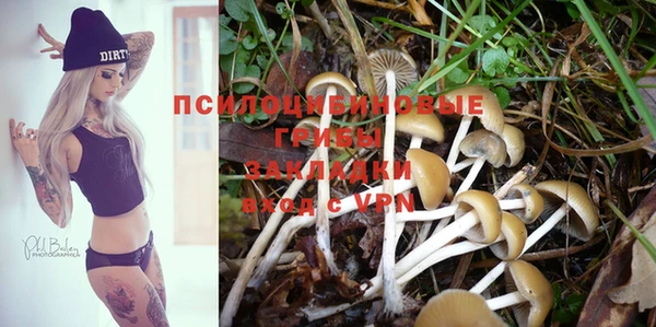 PSILOCYBIN Белоозёрский