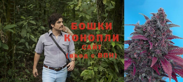 сатива Пестово
