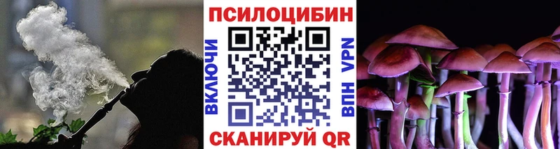 закладка  Великий Устюг  Галлюциногенные грибы ЛСД 