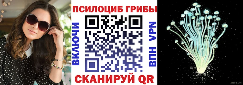Галлюциногенные грибы прущие грибы Великий Устюг