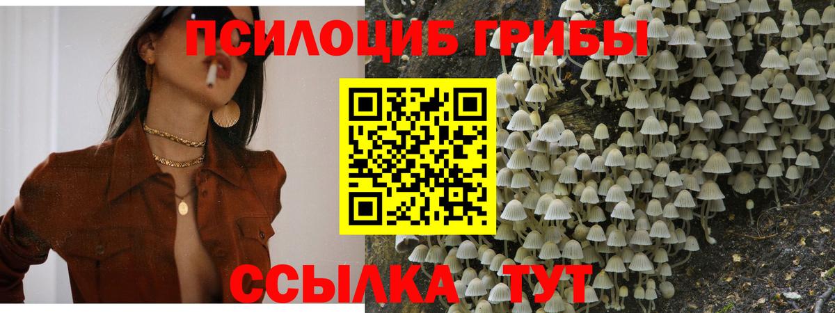 Галлюциногенные грибы GOLDEN TEACHER  Вход с VPN  Великий Устюг 