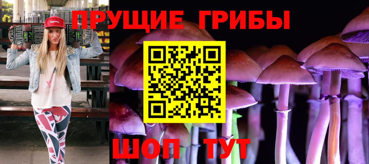 Галлюциногенные грибы MAGIC MUSHROOMS Великий Устюг